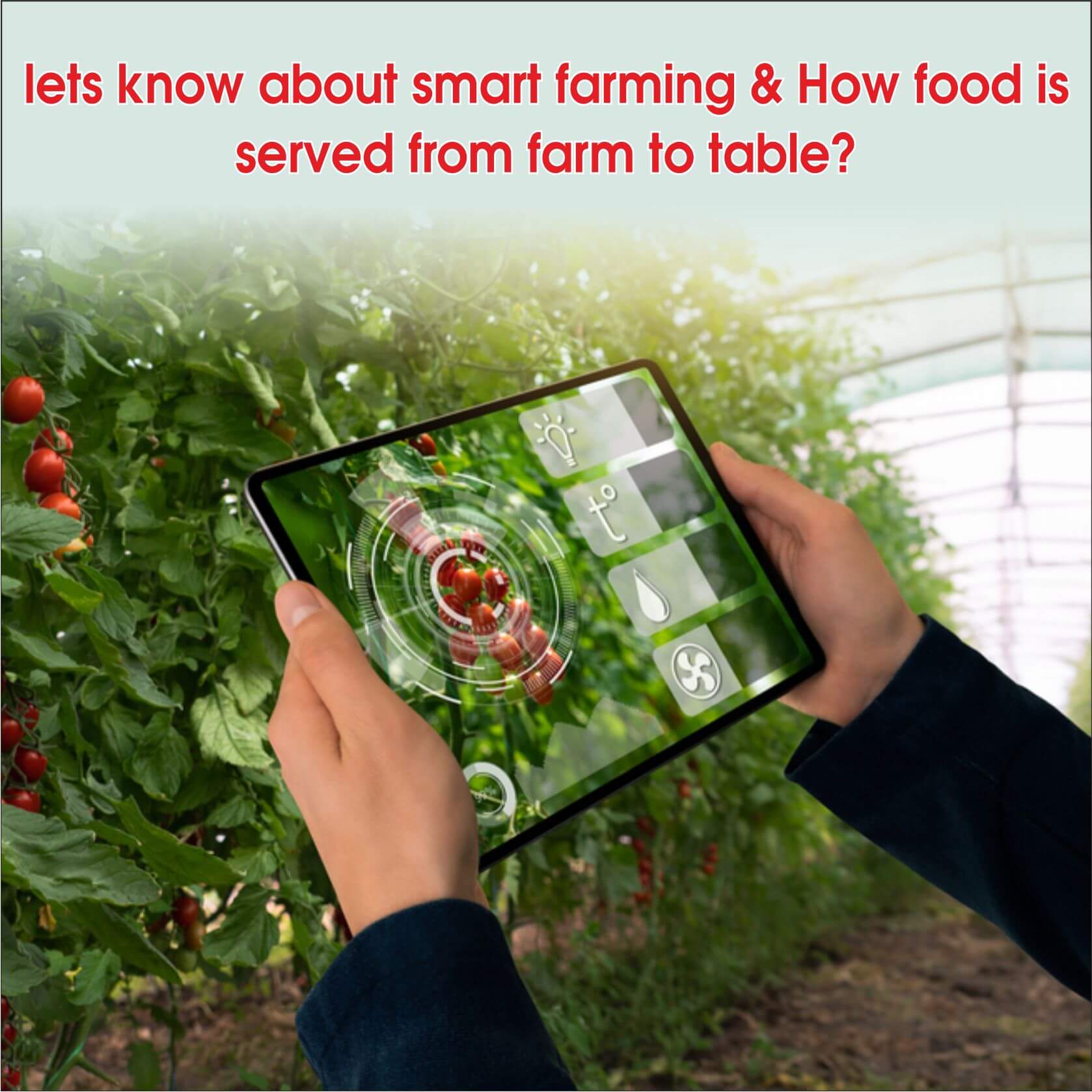 Let’s know about Smart Farming & How Food is served from Farm to Table